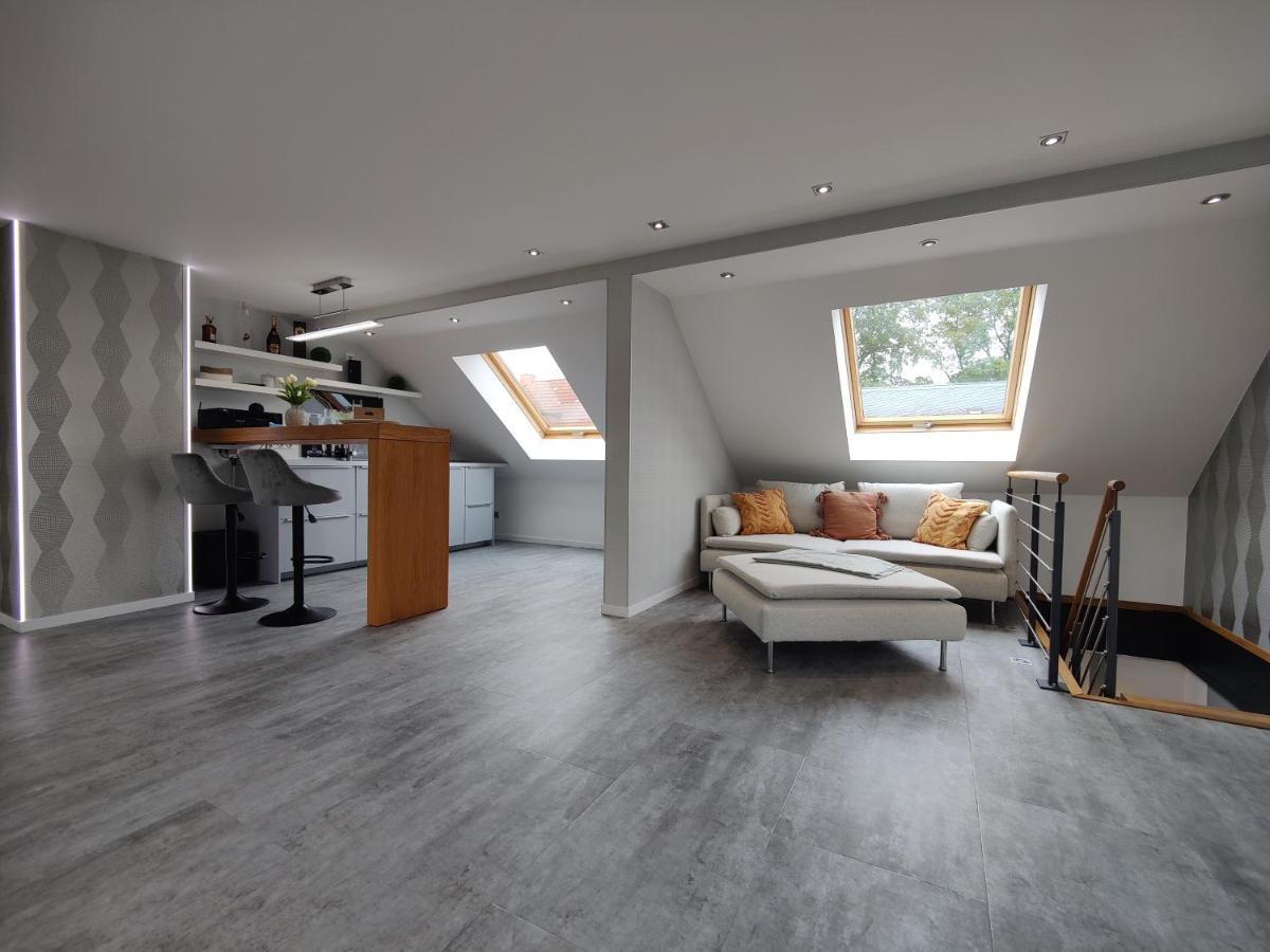 Ferienhaus Villa Adelsberg Mit Dachterrasse In Zentraler Lage Fuer Bis Zu 10 Personen Chemnitz Esterno foto
