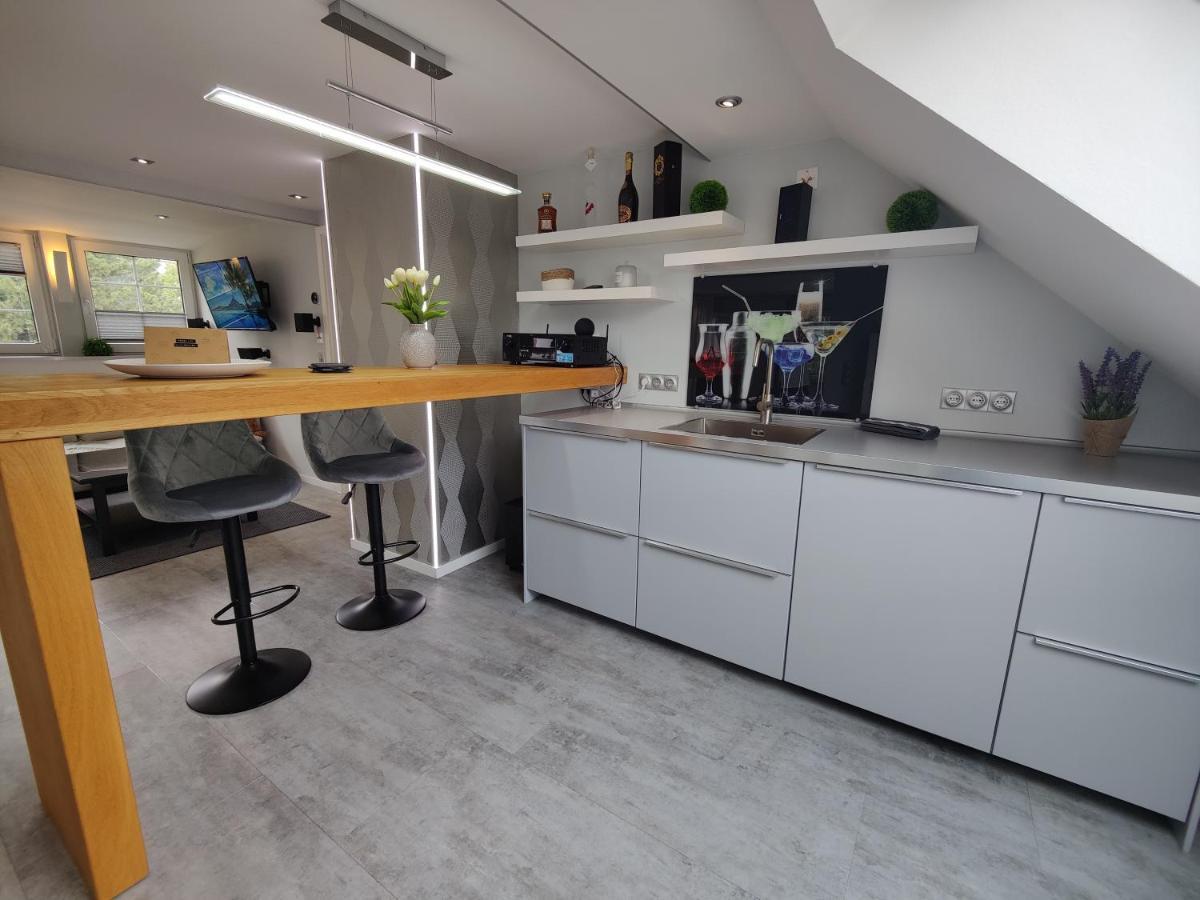 Ferienhaus Villa Adelsberg Mit Dachterrasse In Zentraler Lage Fuer Bis Zu 10 Personen Chemnitz Esterno foto