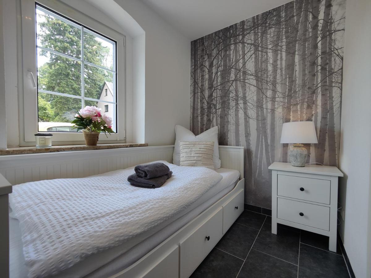 Ferienhaus Villa Adelsberg Mit Dachterrasse In Zentraler Lage Fuer Bis Zu 10 Personen Chemnitz Esterno foto