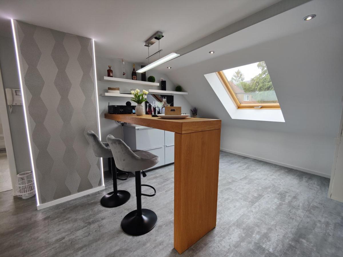 Ferienhaus Villa Adelsberg Mit Dachterrasse In Zentraler Lage Fuer Bis Zu 10 Personen Chemnitz Esterno foto