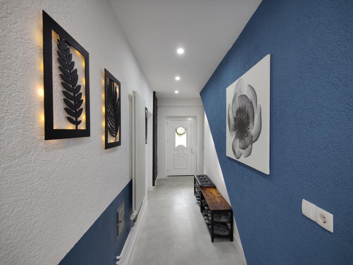 Ferienhaus Villa Adelsberg Mit Dachterrasse In Zentraler Lage Fuer Bis Zu 10 Personen Chemnitz Esterno foto
